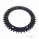 Kettenrad 44Z Teilung 530 Innendurchmesser 155 Lochkreis 176