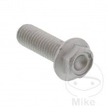 Schraube 6 Kant Originalersatzteil M8X1.25X25MM
