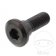 Schraube Bremsscheibe M8X1.25 mm 24 mm Titan schwarz