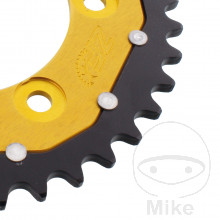 Kettenrad Dual 39Z Teilung 520 gold ZF Innendurchmesser 100 Lochkreis 124