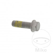 Schraube Bremsscheibe Originalersatzteil M6X1X19MM