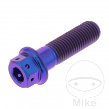Schraube Dualdrive M10 x 1.25 mm 35 mm Titan Racing violett