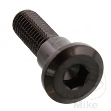 SCHR BR SCHEI JMP BOLT M8X1.25MM 30MM VA A4 SW