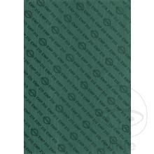 Dichtung MATERIAL EWP 210 1540X1015X1.0