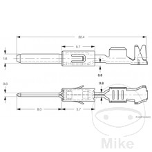 Flachstecker 0.5-1.0 1.6 mm Inhalt 50 Stück