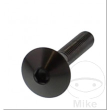 SCHR LINSEN M6X1MM 30MM VA A4 SW