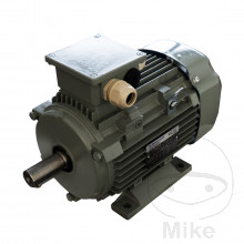 ELEKTROMOTOR 3KW Blitz BKES 501  764013