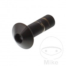 SCHR LINSEN M4X0.5MM 12MM VA A4 SW