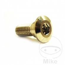 Schraube Bremsscheibe JMP Bolt M8X1.25 mm 20 mm Edelstahl V4A