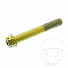 Schraube Dualdrive M10 x 1.50 mm 65 mm Titan Racing gold