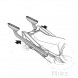 TOPCASETR SHAD 