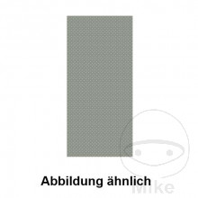 LOCHBLECHRUECKWAND 2200X970MM       Rauscher