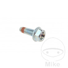 SCHR BR SATT OE M8X1.25X25MM