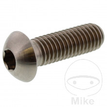 Schraube Bremsscheibe JMP Bolt M8X1.25 mm 25 mm Titan
