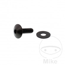 SCHR LINSEN M6X1MM 20MM VA A4 SW